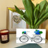 Seaside Adventure Coastal Bicycle Sea Glass Framed Art - image 2