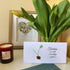 A Teacher's Legacy Of Growth Sprout Sea Glass Framed Art - Seaglass Card - 6" X 8" - image 1