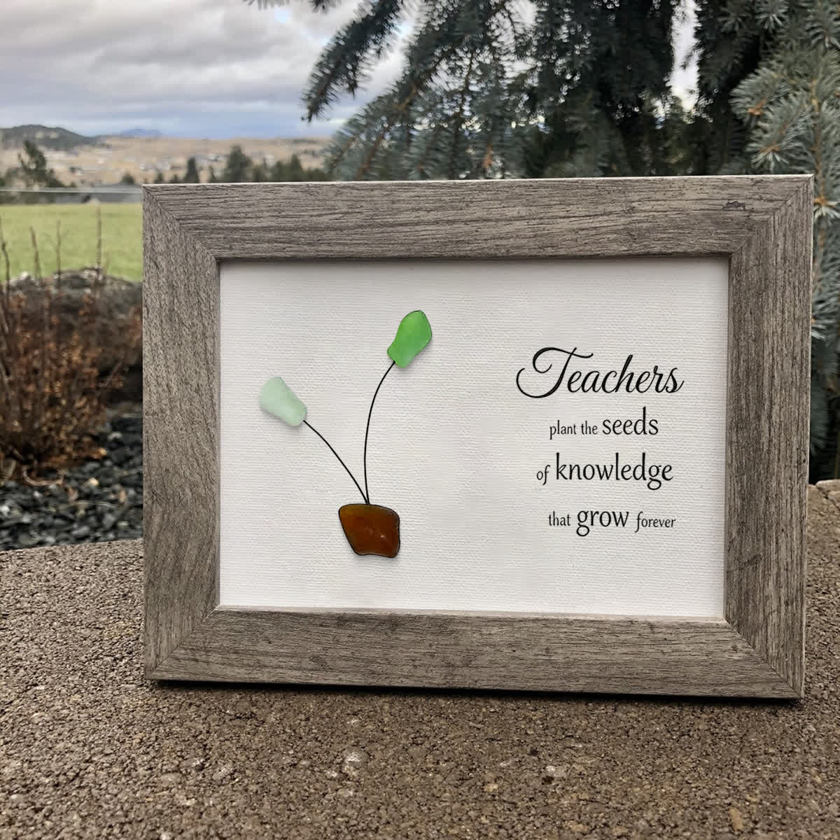 A Teacher's Legacy Of Growth Sprout Sea Glass Framed Art - image 0