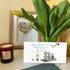 Hearts Like Dogs & Petals Sea Glass Framed Art - Seaglass Card - 6" X 8" - image 1