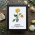January Birth Flower Carnation Sea Glass Framed Art - Black - 8" X 6" - image 11