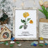 January Birth Flower Carnation Sea Glass Framed Art - Retro White - 8" X 6" - image 13