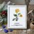 January Birth Flower Carnation Sea Glass Framed Art - White - 8" X 6" - image 12