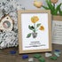 January Birth Flower Carnation Sea Glass Framed Art - Oak - 8" X 6" - image 9