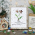 February Birth Flower Violet Sea Glass Framed Art - Retro White - 8" X 6" - image 13