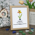 March Birth Flower Daffodil Sea Glass Framed Art - Oak - 8" X 6" - image 9