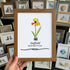 March Birth Flower Daffodil Sea Glass Framed Art - Walnut Brown - 8" X 6" - image 10