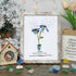 September Birth Flower Aster Sea Glass Framed Art - Retro White - 8" X 6" - image 12