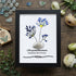 November Birth Flower Chrysanthemum Sea Glass Framed Art - Black - 8" X 6" - image 10