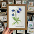 Elegant Blue Campanula Barbata Sea Glass Framed Art - Walnut Brown - 8" X 6" - image 10