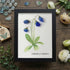 Elegant Blue Campanula Barbata Sea Glass Framed Art - Black - 8" X 6" - image 11