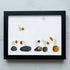 Coastal Bird Gathering Sea Glass Framed Art - Black - 6" X 8" - image 15