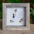 Retirement Is A Time To Thrive Sea Glass Framed Art - image 4