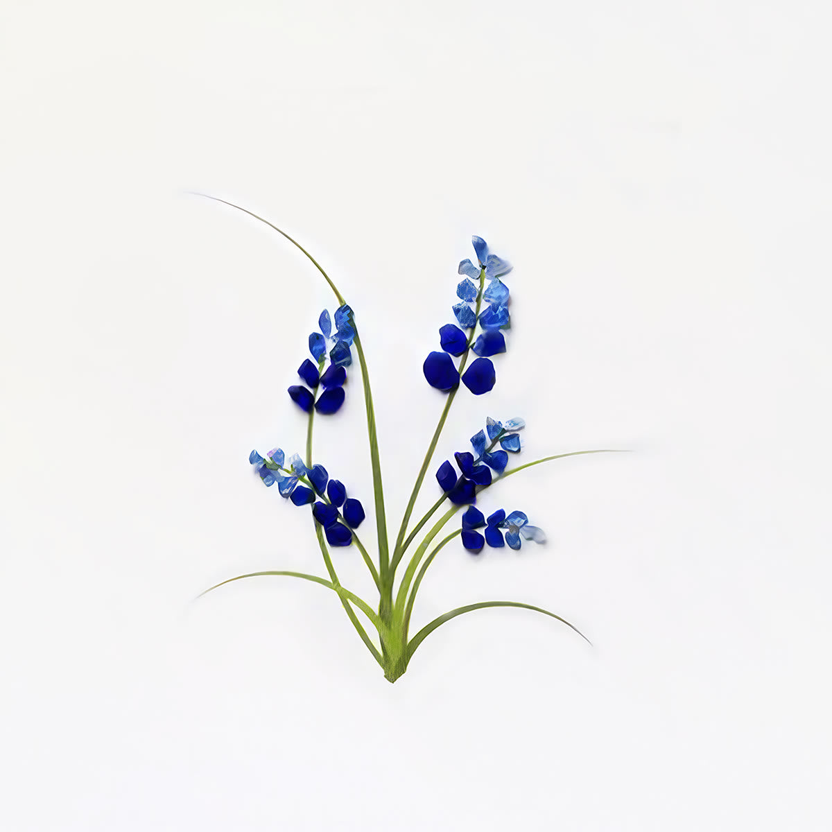 Minimalist Botanical Bluebonnet Sea Glass Framed Art - image 2