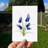 Minimalist Botanical Bluebonnet Sea Glass Framed Art - Seaglass Card - 8" X 6" - image 1
