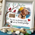 Pet Memorial Custom Photo Name Date Sea Glass Framed Art - image 4