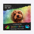 Personalized Rainbow Bridge Pet Memorial Sea Glass Framed Art - image 2