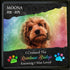 Personalized Rainbow Bridge Pet Memorial Sea Glass Framed Art - image 4