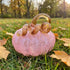 Pumpkin Figurines With Curly Stem - Handcrafted Fall Table Decor - Pink - image 1