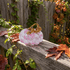 Pumpkin Figurines With Curly Stem - Handcrafted Fall Table Decor - image 6