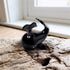 The Orca Pod - Mini Handblown Glass Orca Family | Ocean Guardians Collection - Style #1 - image 0