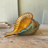 Large Amber & Teal Conch Decor - Hand-Blown Glass Conch Shell Sculpture - Conch - image 0