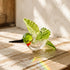 The Garden Messengers Hummingbird Sculpture - Hand-blown Glass Hanging Humming Bird Figurine - image 7
