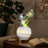 Moon Bloom Orchid Flower Lamp Decor - LED Artificial Orchid With Glass Globe Vase - Blue - image 5