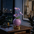 Glowing Morning Glory Flower Bouquet LED Lamp - Rechargeable Flower Lamp Decor With Vase - image 5