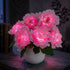 Eternal Peony Flower Pot LED Lamp - USB Rechargeable Glowing Peony Table Lamp - Light Pink - image 2