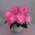 Eternal Peony Flower Pot LED Lamp - USB Rechargeable Glowing Peony Table Lamp - image 4