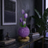 Tulip LED Night Light Decor With Glass Vase - Romantic Glowing Flower Night Light Lamp - Purple - image 10