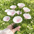 Floating Lotus Garden Sculpture - Romantic Handmade Ceramic Flower Decor - Violet - image 12