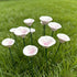 Floating Lotus Garden Sculpture - Romantic Handmade Ceramic Flower Decor - image 13