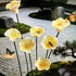Floating Lotus Garden Sculpture - Romantic Handmade Ceramic Flower Decor - image 9