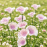 Floating Lotus Garden Sculpture - Romantic Handmade Ceramic Flower Decor - image 1