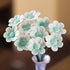 The Everlasting Garden Collection - Handmade Ceramic Little Flower Decor - Daisy - image 12