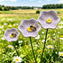 Decorative Poppy Flower Garden Station - Handmade Ceramic Flower Decor - image 3