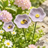 Decorative Poppy Flower Garden Station - Handmade Ceramic Flower Decor - Purple - image 2
