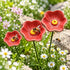 Decorative Poppy Flower Garden Station - Handmade Ceramic Flower Decor - image 1