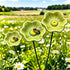 Decorative Poppy Flower Garden Station - Handmade Ceramic Flower Decor - image 11