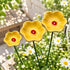 Decorative Poppy Flower Garden Station - Handmade Ceramic Flower Decor - image 9