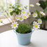Artificial Flowers Cute Desk Buddy - Handmade Mini Ceramic Flower Decor - image 3