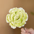 King Of Flower Romantic Large Peony - Handmade Ceramic Artificial Flower Decor - image 7