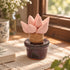 Cute Cactus With Flower In Pot - Handmade Mini Ceramic Cactus Figurine Decor - Style #9 - image 8