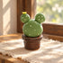 Cute Cactus With Flower In Pot - Handmade Mini Ceramic Cactus Figurine Decor - Style #31 - image 30