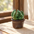 Cute Cactus With Flower In Pot - Handmade Mini Ceramic Cactus Figurine Decor - Style #35 - image 34
