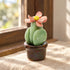 Cute Cactus With Flower In Pot - Handmade Mini Ceramic Cactus Figurine Decor - Style #23 - image 22