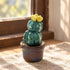 Cute Cactus With Flower In Pot - Handmade Mini Ceramic Cactus Figurine Decor - Style #6 - image 5